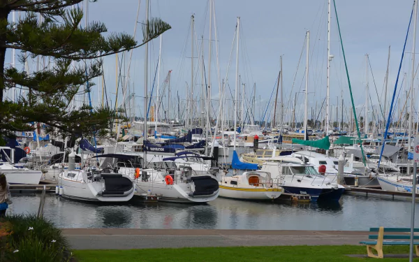HD desktop wallpaper showing a busy marina with sailboats docked in Brisbane bay, calm ocean water reflecting the masts against a clear sky.