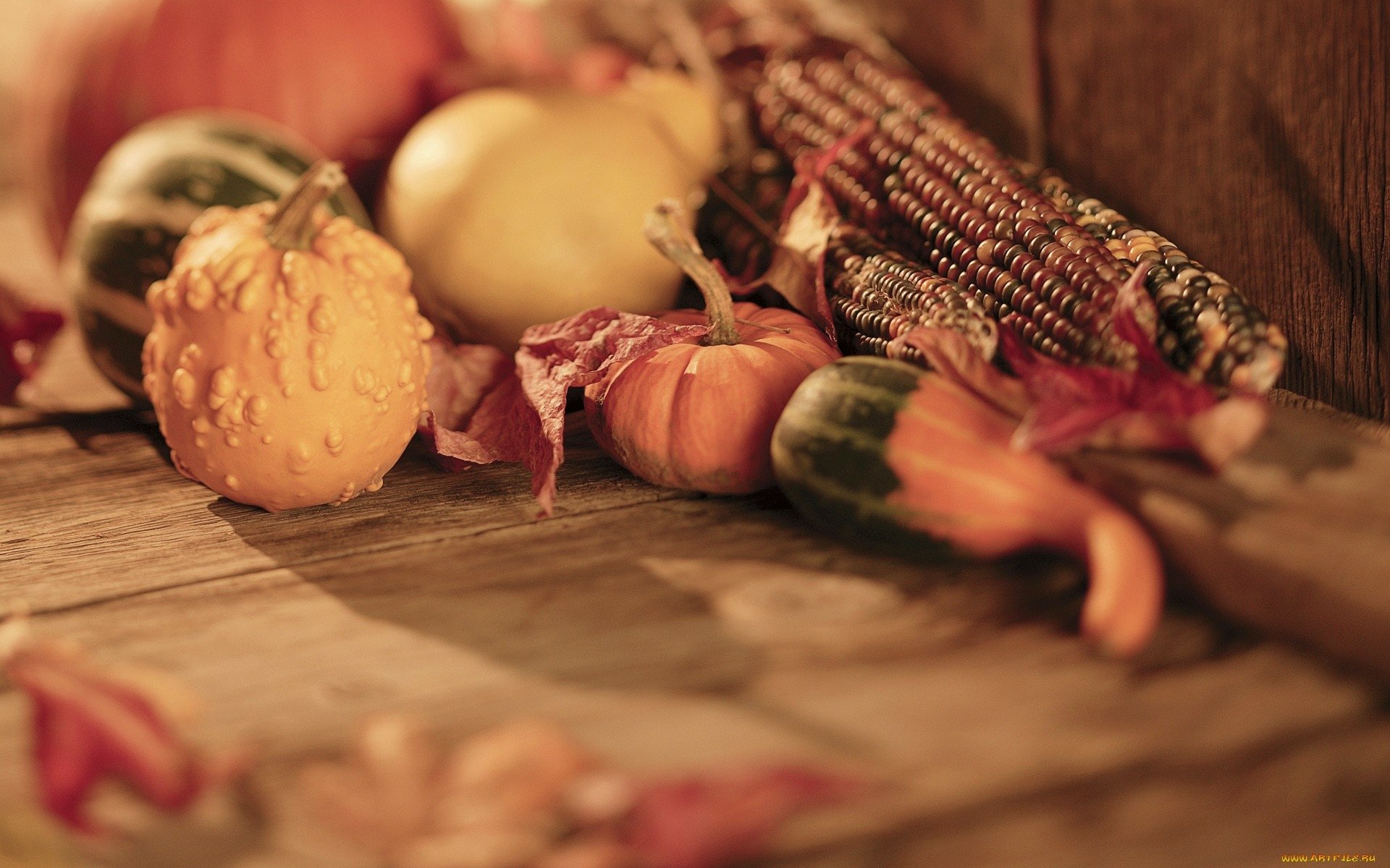 HD PC desktop wallpaper featuring a rustic arrangement of colorful vegetables and gourds on a wooden surface, evoking an autumnal harvest theme.