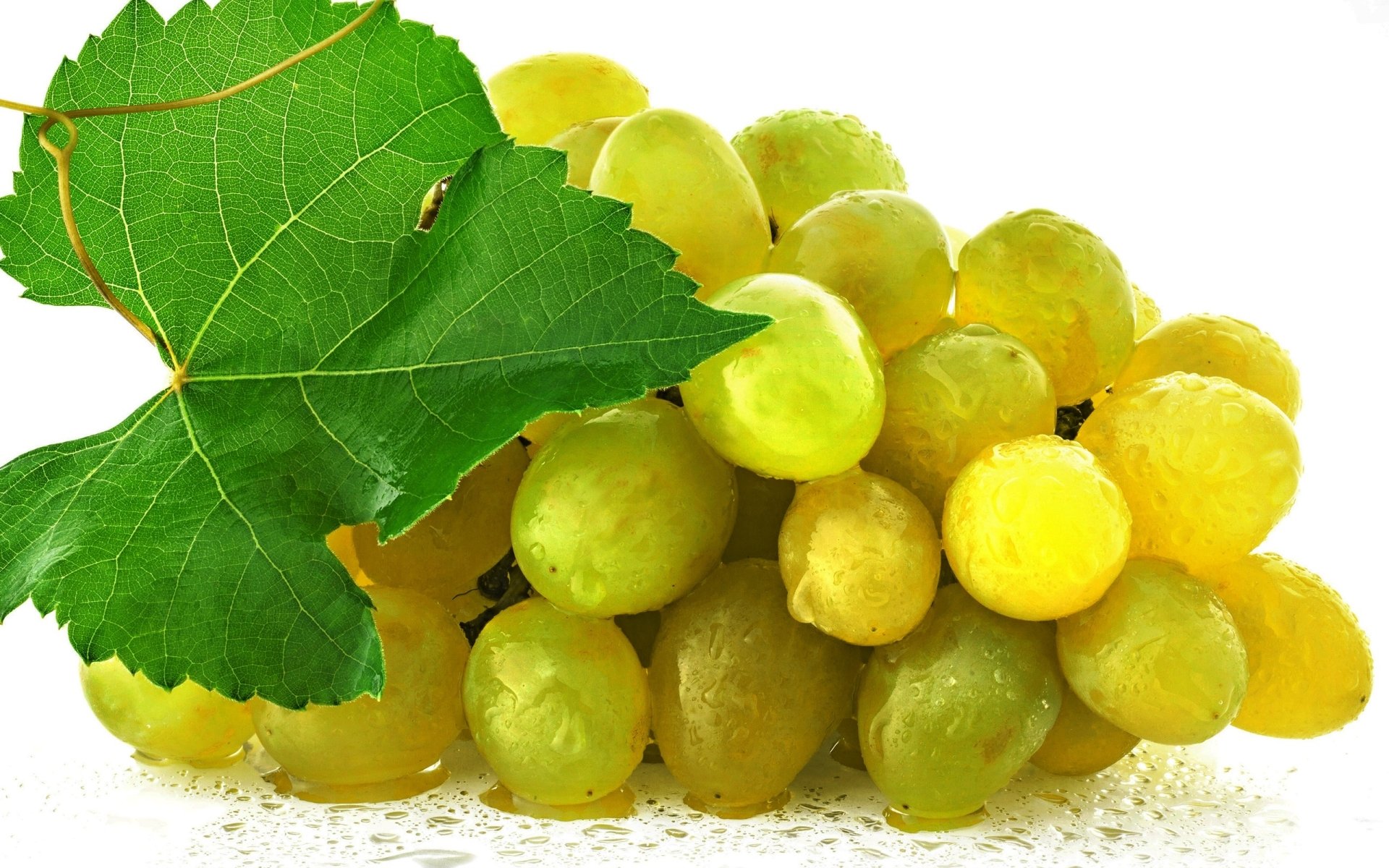 Grapes Full HD Wallpaper and Background Image 2560x1600 ID419608