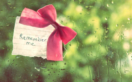 photography raindrops HD Desktop Wallpaper | Background Image