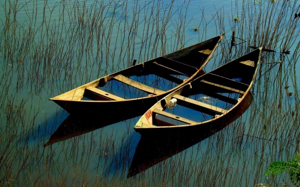 HD desktop wallpaper showing two wooden boats floating calmly among reeds on still water, capturing a serene and peaceful vehicle scene.