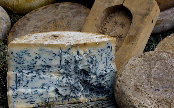 HD desktop wallpaper featuring a close-up of blue cheese surrounded by whole cheese wheels, highlighting detailed textures and natural food elements.