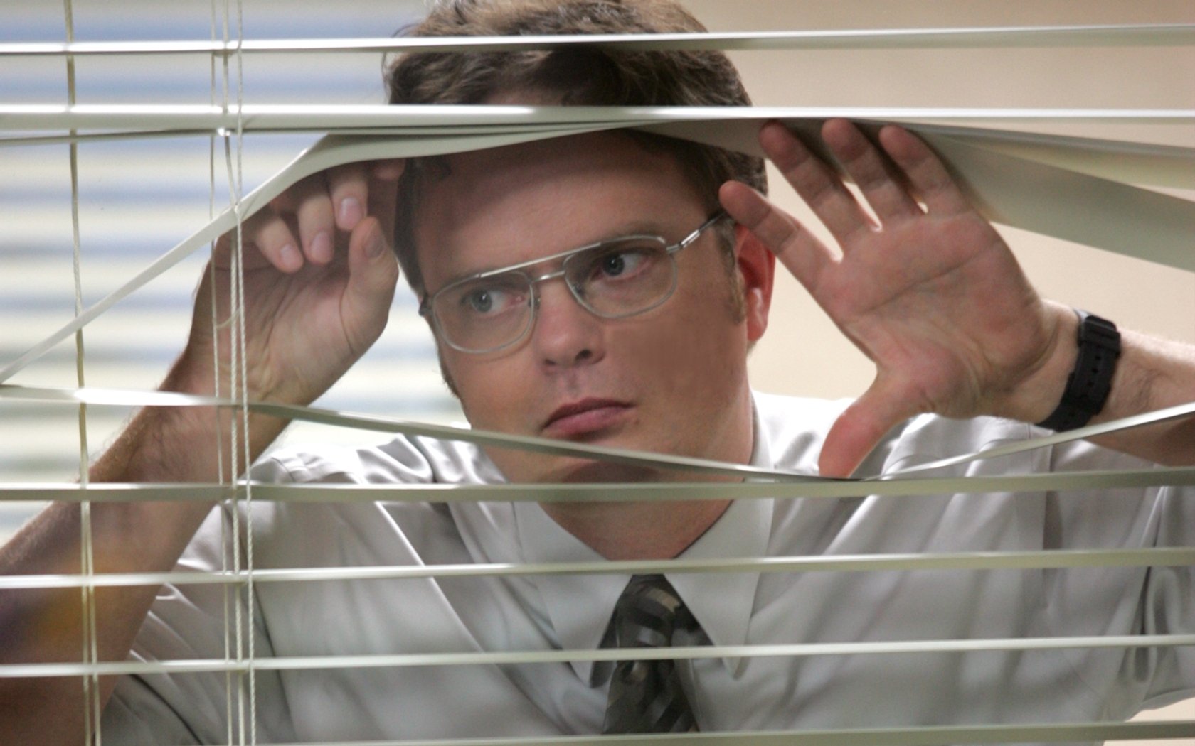 Curious Dwight Download Your Free HD Wallpaper Now!