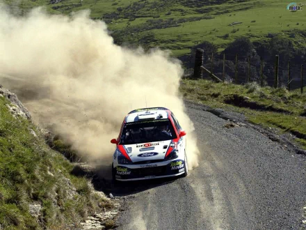 vehicle Ford Focus HD Desktop Wallpaper | Background Image