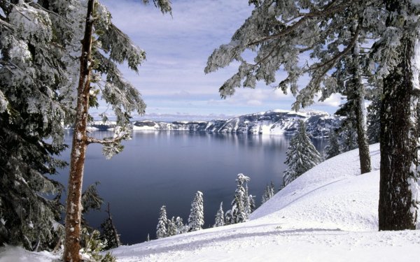 Earth Winter HD Wallpaper | Background Image