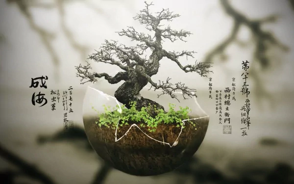 HD desktop wallpaper featuring a bonsai tree in a cracked spherical pot, with some text in an Asian script on the side, set against a blurred nature background.