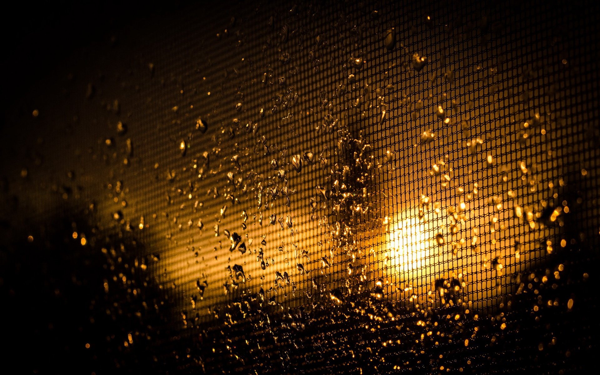 Photography of raindrops on a window screen with a golden sunset glow — HD PC desktop wallpaper and background.