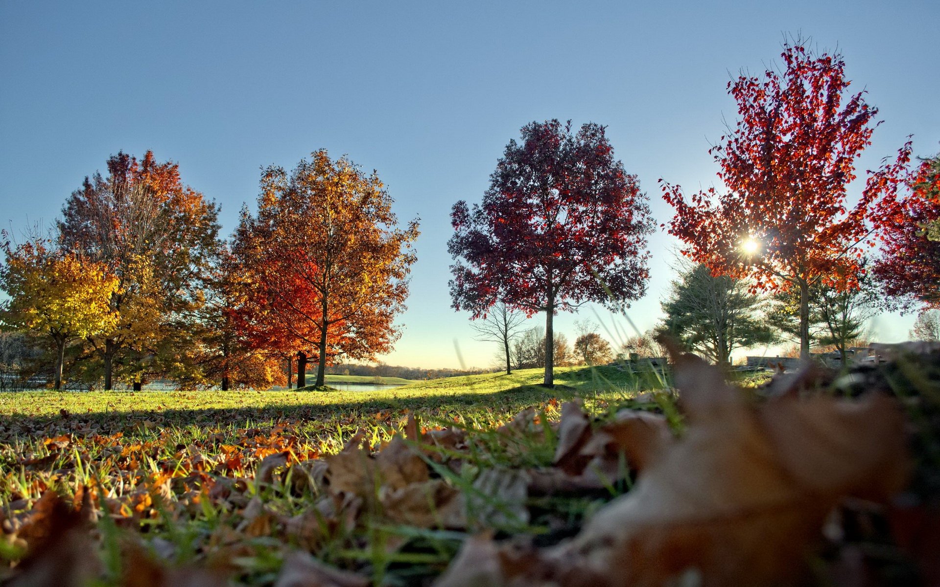 HD PC desktop wallpaper of a serene fall scene featuring colorful autumn trees with sunlight filtering through under a clear blue sky in a natural setting.