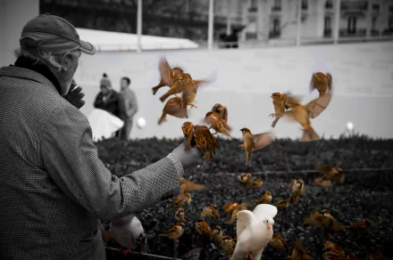 A black-and-white vintage-style photo of a man feeding birds on a Paris street, with the birds color-swapped in warm tones, capturing life in France, Europe.