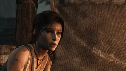 HD PC desktop wallpaper featuring Lara Croft from the video game Tomb Raider, shown with a focused expression against a textured background.