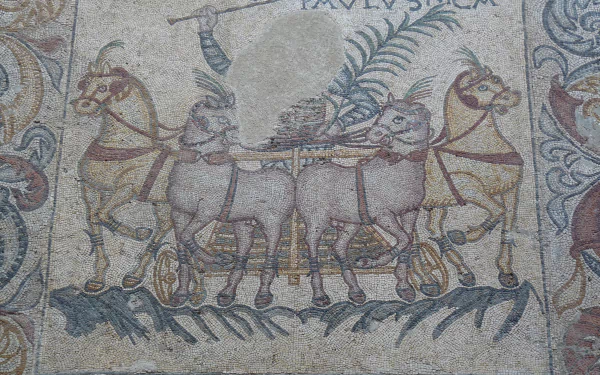  Opus signinum