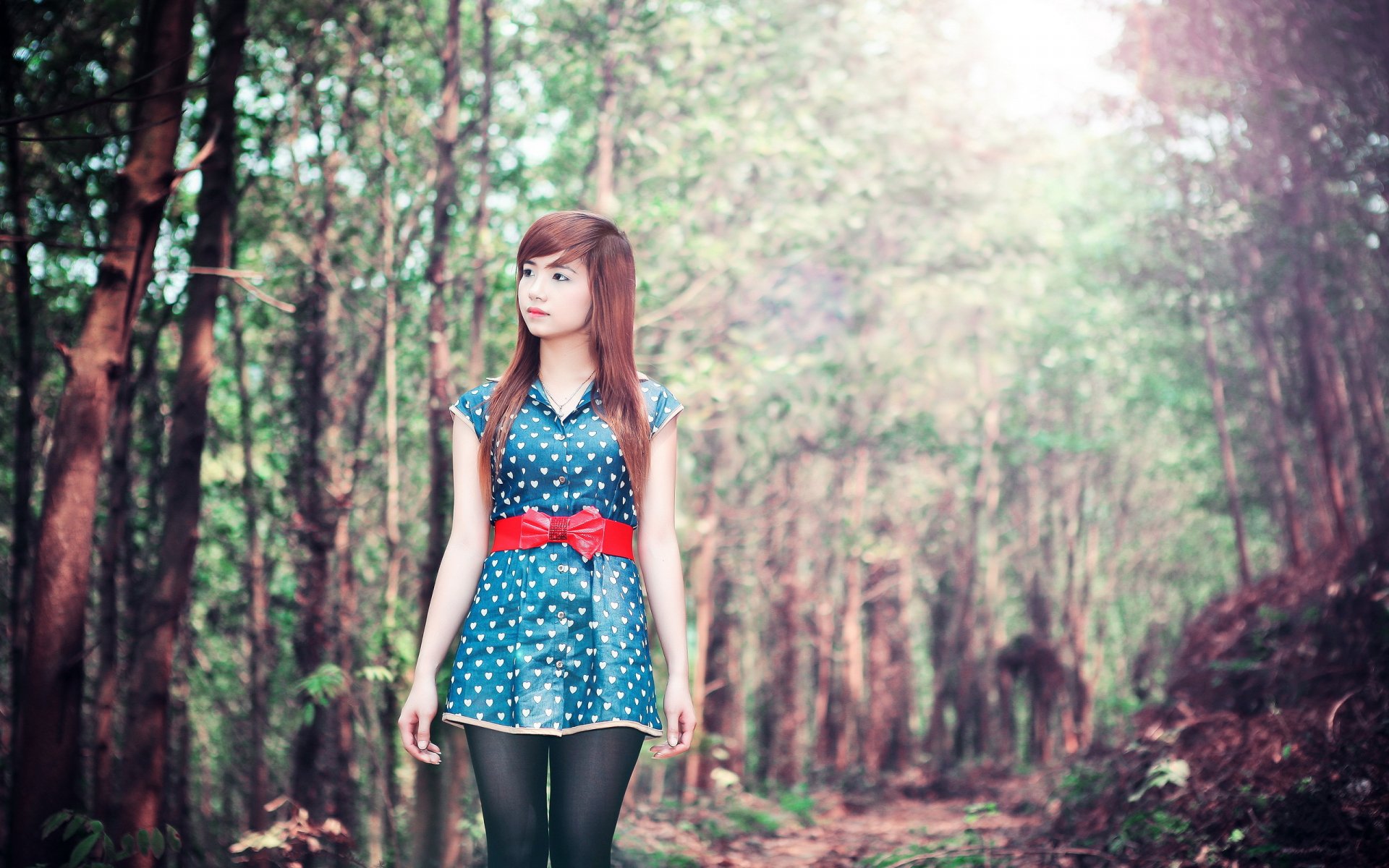 Asian woman in a blue dress with a red belt stands in a serene forest setting, surrounded by green trees. HD desktop wallpaper and background.