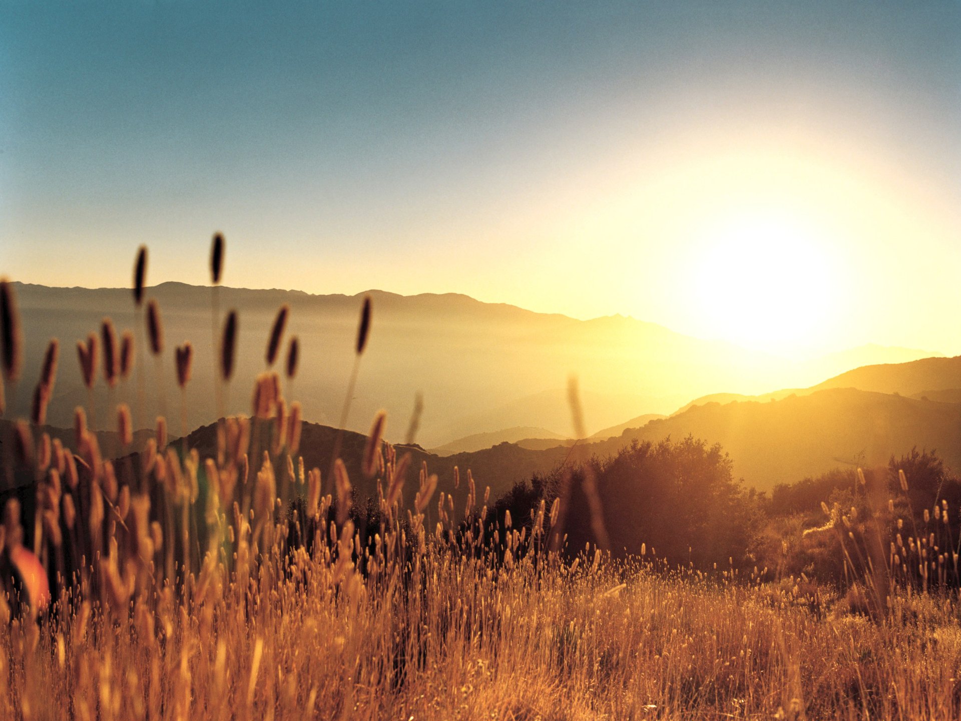 HD desktop wallpaper of a serene landscape featuring the golden light of a sunset over rolling hills and a foreground of tall grass.