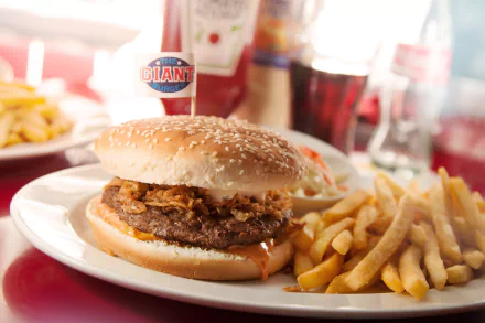 food burger HD Desktop Wallpaper | Background Image
