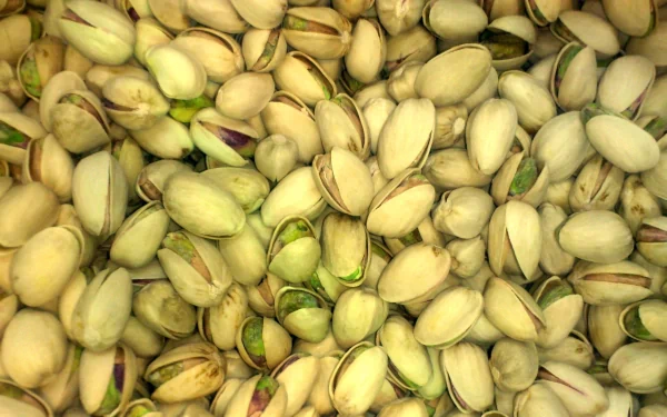 food pistachio HD Desktop Wallpaper | Background Image