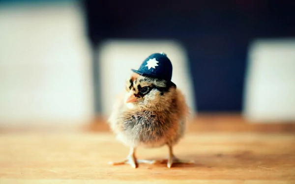  Police Chick