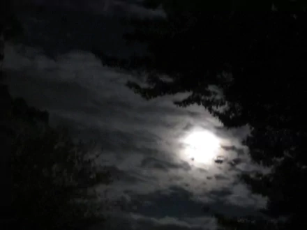 HD desktop wallpaper featuring a night sky with clouds partially obscuring the bright moon, surrounded by silhouettes of trees in a natural setting.
