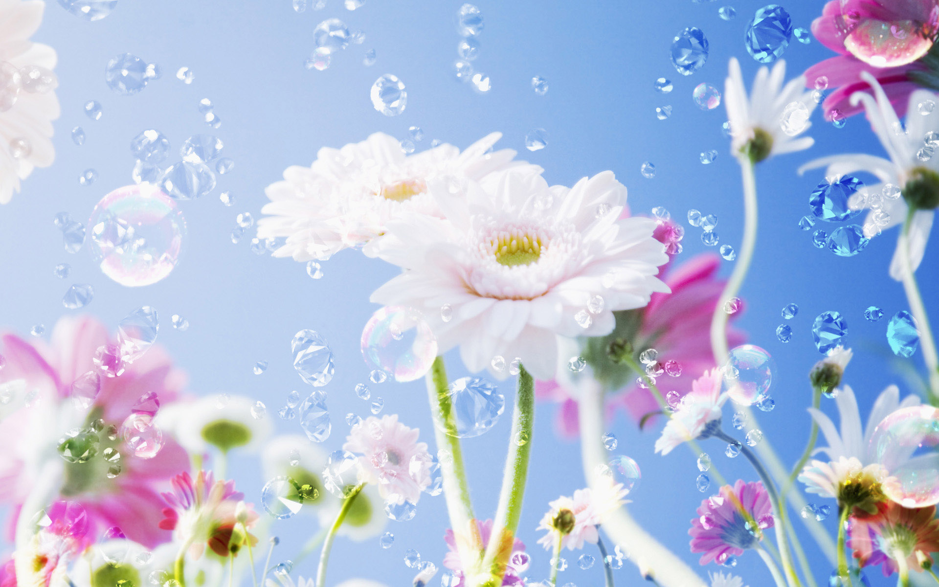 Download Nature Flower HD Wallpaper