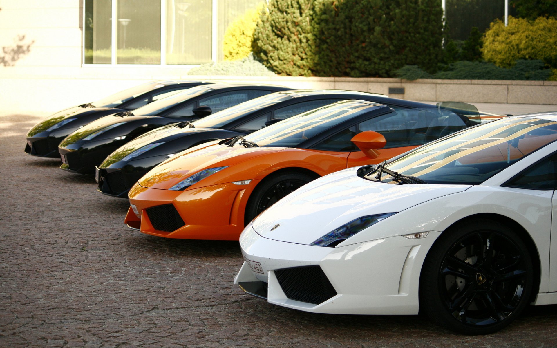 Vehicles Lamborghini Gallardo HD Wallpaper