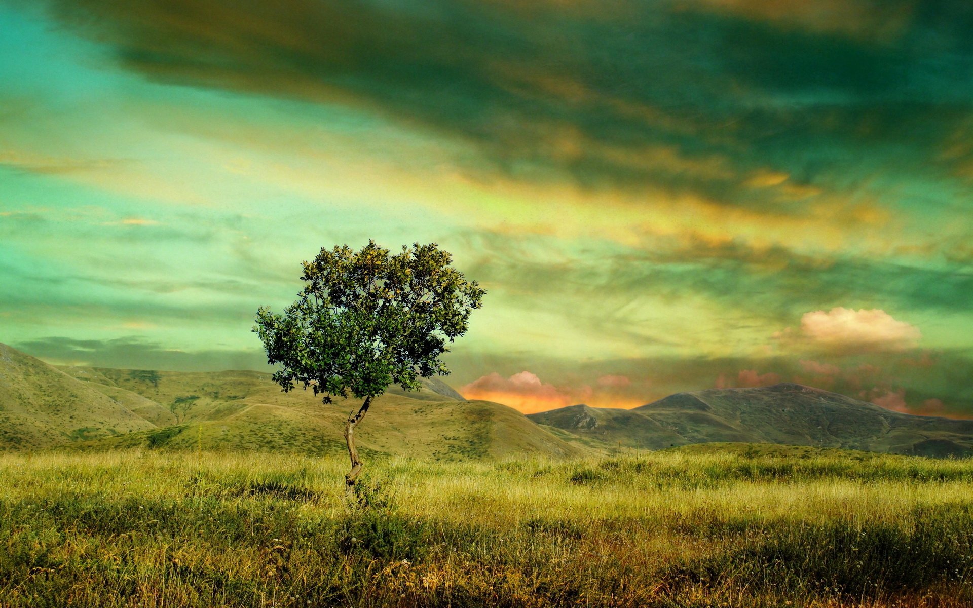 HD desktop wallpaper featuring a solitary tree in a grassy field under a dramatic, colorful sky with rolling hills in the background.