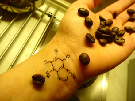 A hand with coffee beans and a drawn molecule represents the connection between coffee, science, and technology in physics and chemistry. 4K Ultra HD wallpaper background.