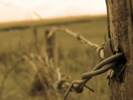 HD desktop wallpaper featuring close-up of barbed wire attached to a wooden post, with a sepia-tone field in the background.