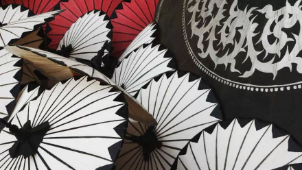 photography umbrella HD Desktop Wallpaper | Background Image