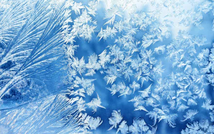 nature ice HD Desktop Wallpaper | Background Image
