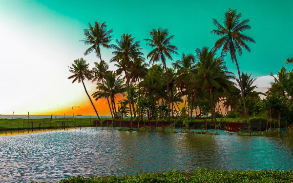sunset tropical lagoon nature palm tree HD Desktop Wallpaper | Background Image