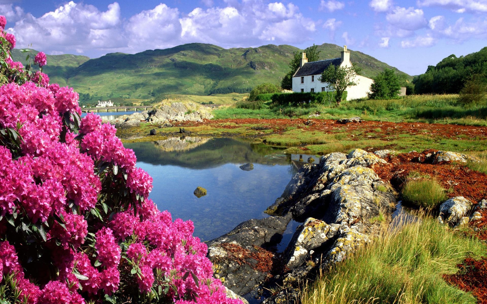 HD landscape photography of a serene countryside scene with vibrant pink flowers, rocky shore, calm water, and a white cottage under a blue sky, used as a PC desktop wallpaper.