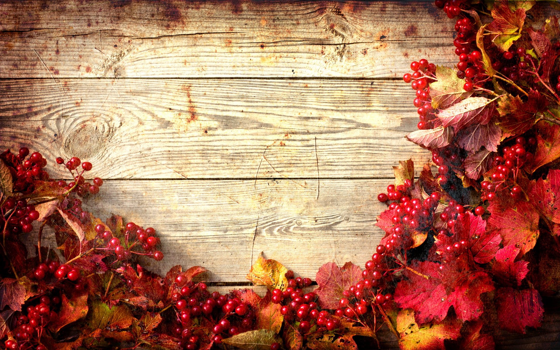 A rich wooden background framed by vibrant autumn leaves and clusters of berries, creating an artistic and inviting ambiance for a HD desktop wallpaper.
