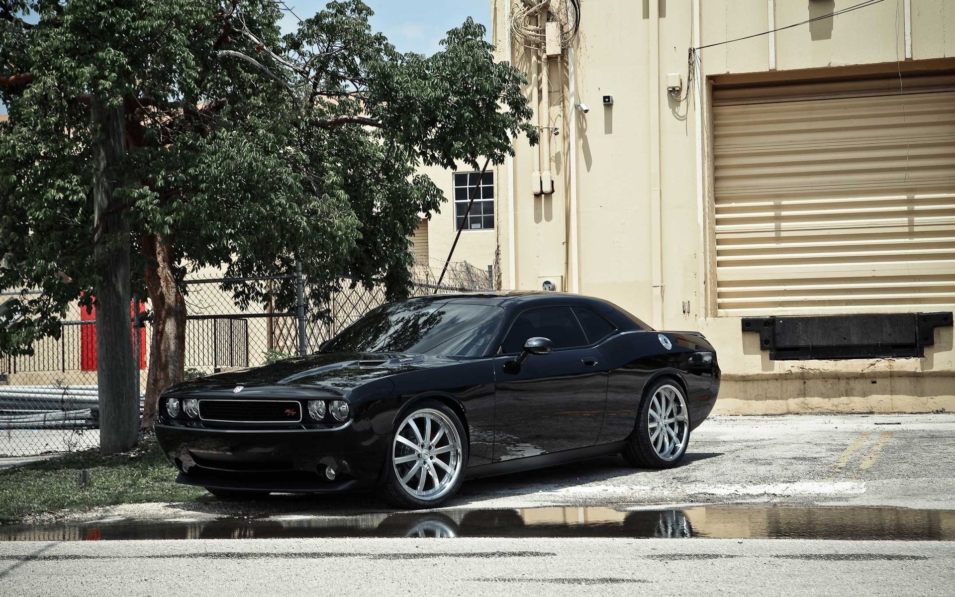 Download Vehicle Dodge Challenger RT HD Wallpaper