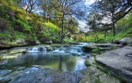 Peak District National Park England tree nature river HD Desktop Wallpaper | Background Image