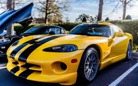 vehicle Dodge Viper HD Desktop Wallpaper | Background Image
