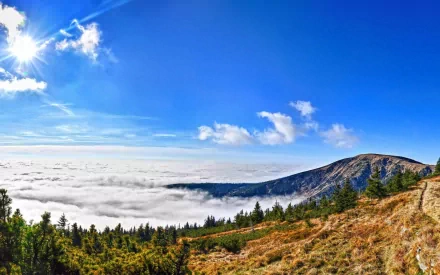 sea of clouds nature cloud HD Desktop Wallpaper | Background Image