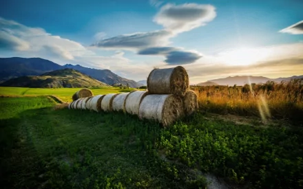 HD nature wallpaper showcasing a scenic landscape with round haystacks lined up on lush green grass under a vibrant sky with mountains in the background.
