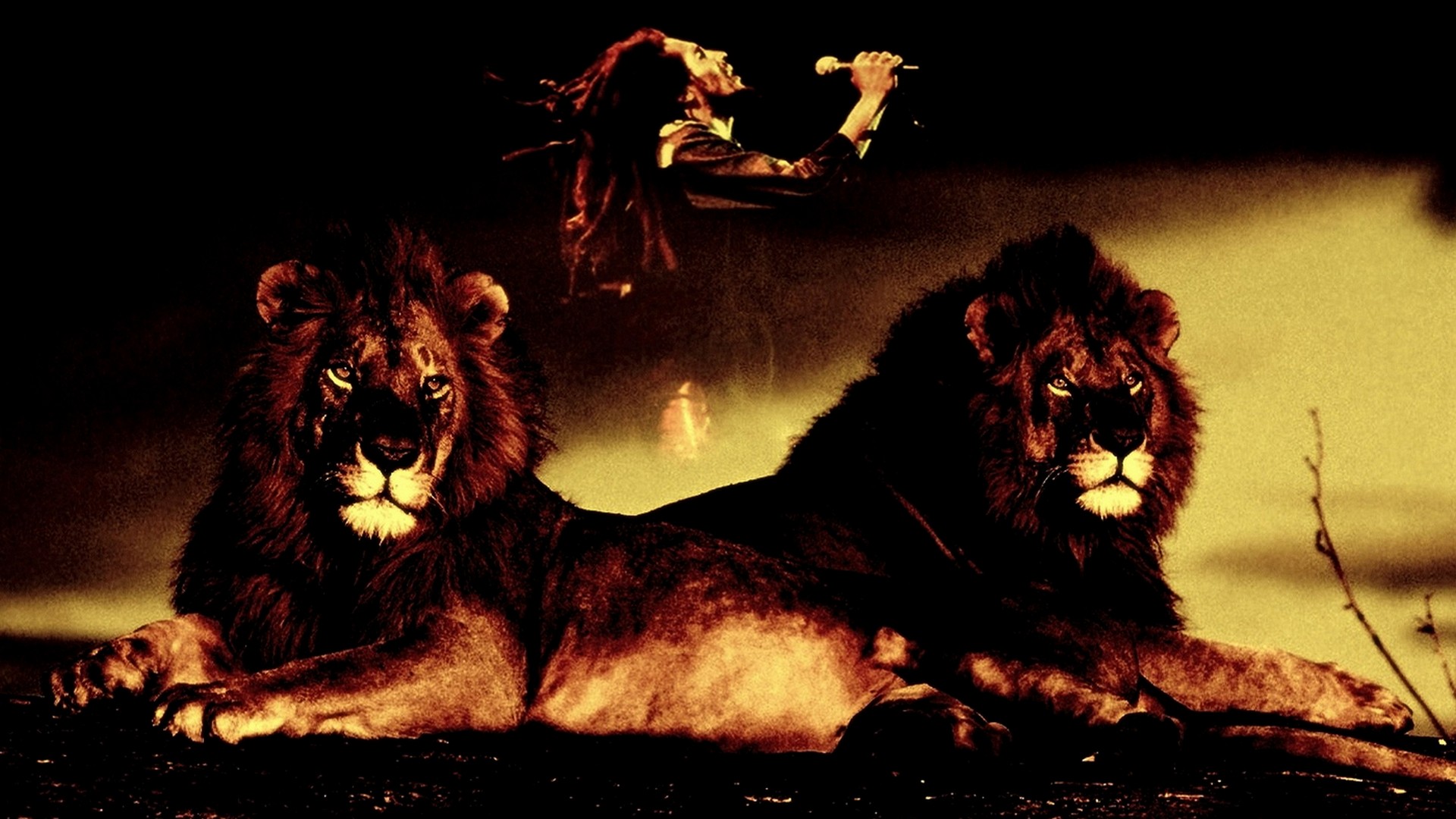 Bob Marley HD Wallpaper | Background Image | 1920x1080 ...