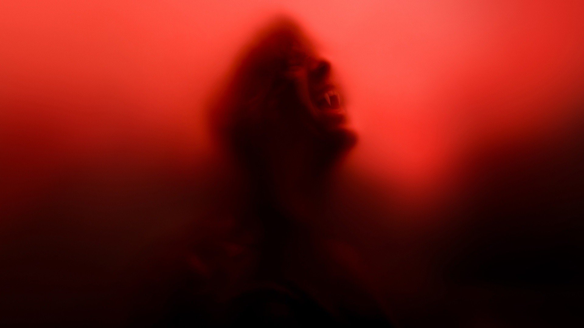 Download TV Show True Blood HD Wallpaper