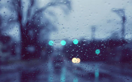 photography raindrops HD Desktop Wallpaper | Background Image
