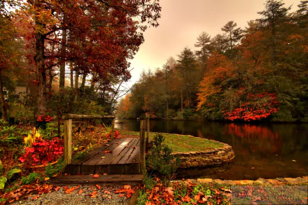 man made bridge HD Desktop Wallpaper | Background Image