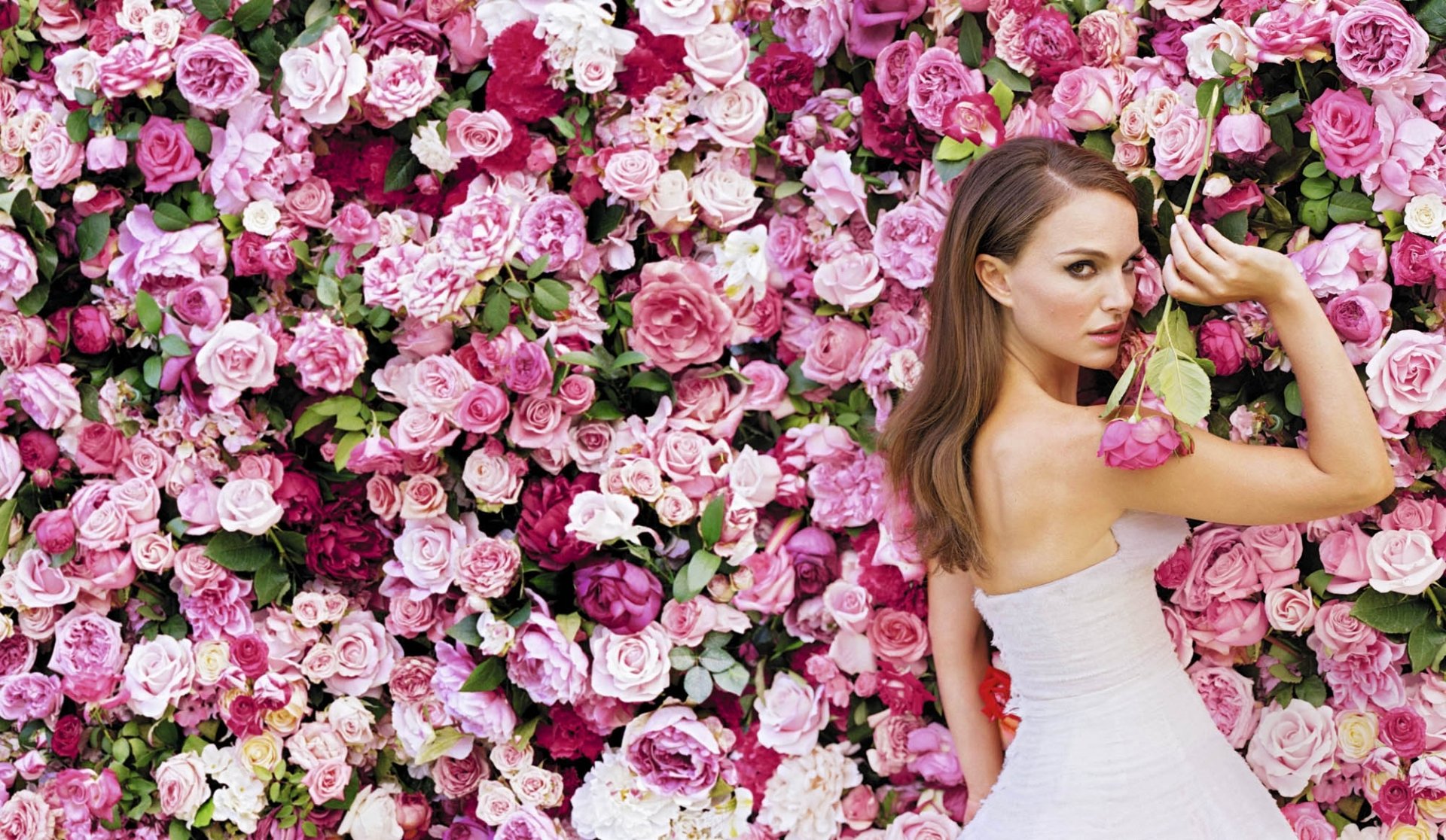 Natalie Portman stands gracefully against a vibrant floral backdrop, showcasing a stunning arrangement of pink roses. This HD wallpaper captures her elegance and beauty perfectly.
