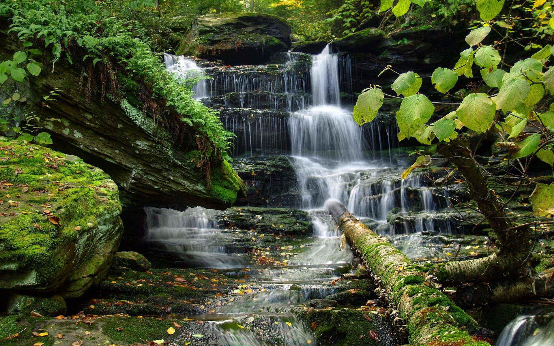 Ручей Джалон. Красивые водопады. Вода в природе. Красивые пейзажи с водопадами. Discover nature