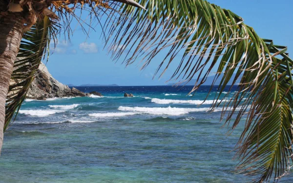 4K Ultra HD PC wallpaper featuring a vibrant ocean scene with clear waves, rocky shore, and palm leaves framing a sunny blue sky.