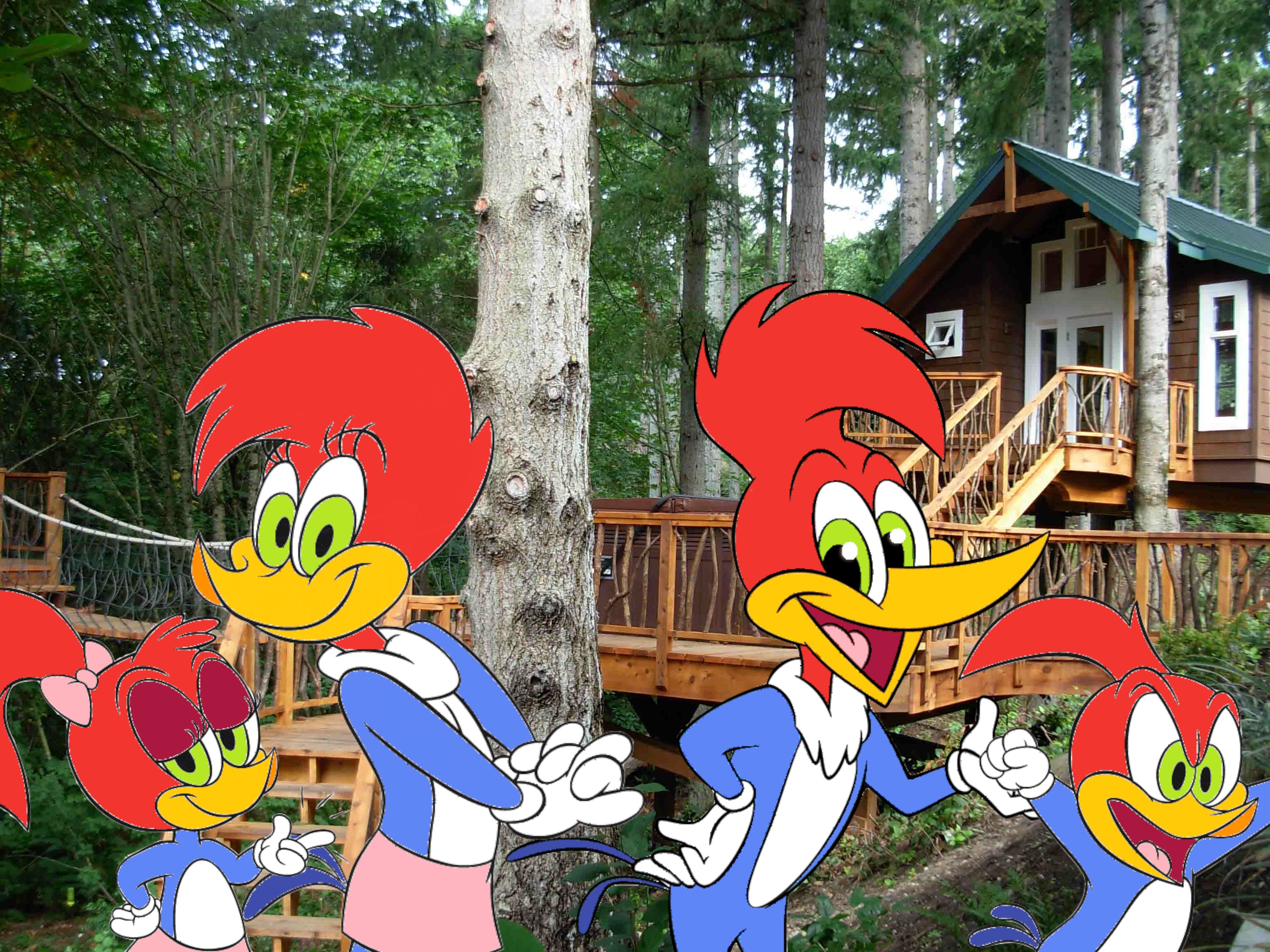 TV Show Woody Woodpecker HD Wallpaper | Background Image