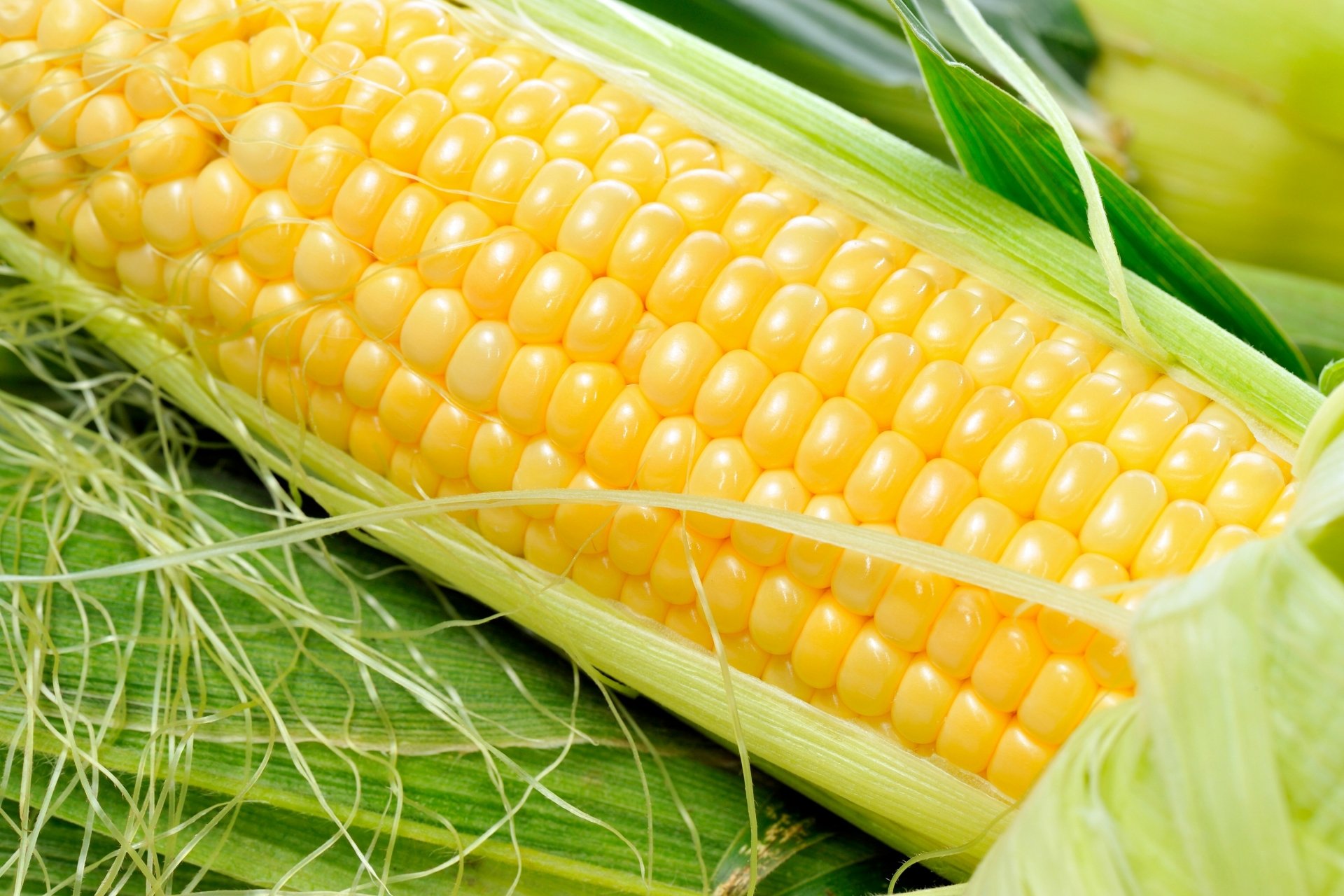 Vibrant Corn Delight - 4K Ultra HD Wallpaper