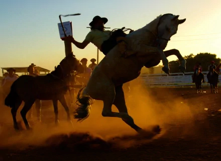 rodeo Sports HD Desktop Wallpaper | Background Image