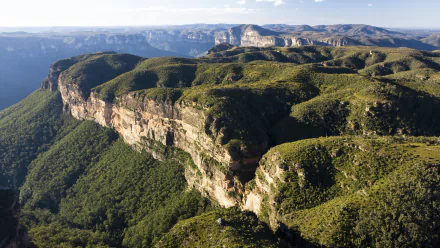 HD desktop wallpaper showcasing the lush, expansive landscape of the Blue Mountains with rugged cliffs and dense greenery under a clear sky.