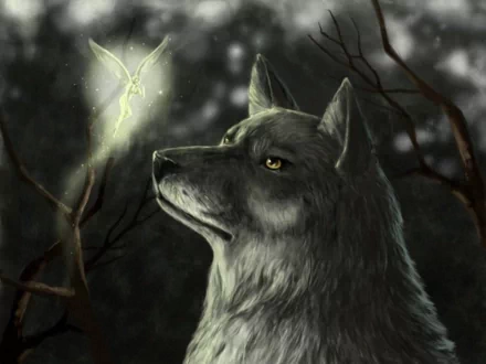 HD desktop wallpaper featuring a mystical scene with a grey wolf intently gazing at a glowing fairy in a dark, forest setting.