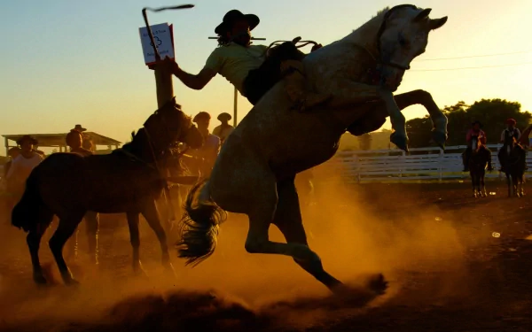 HD PC desktop wallpaper capturing a rodeo scene with a cowboy riding a bucking horse, surrounded by dust and spectators during a dynamic sports event at sunset.