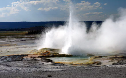stone geyser Yellowstone USA nature hot spring HD Desktop Wallpaper | Background Image